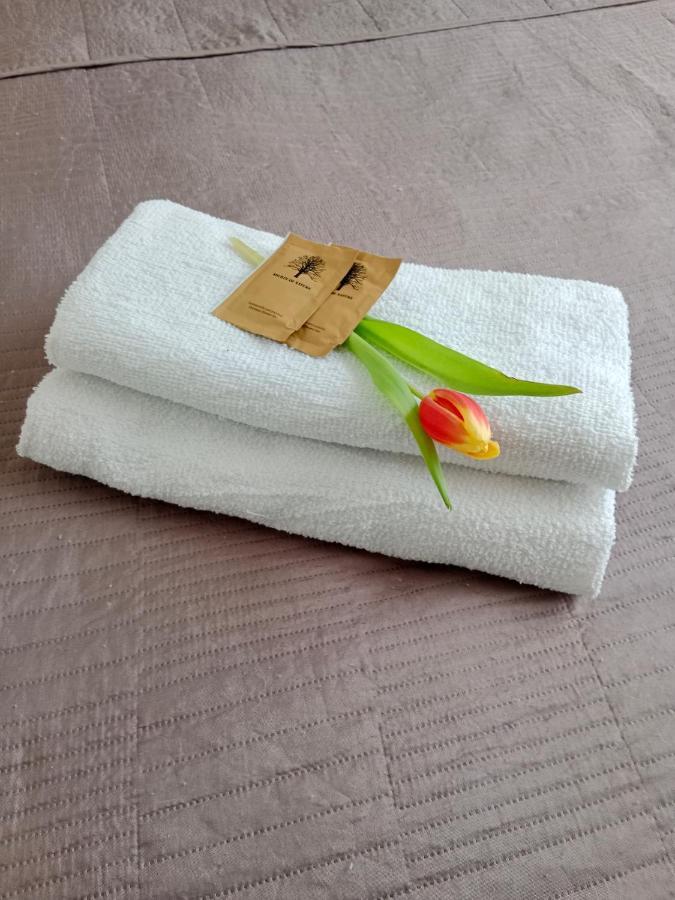 Apartament Glamour Chełm エクステリア 写真